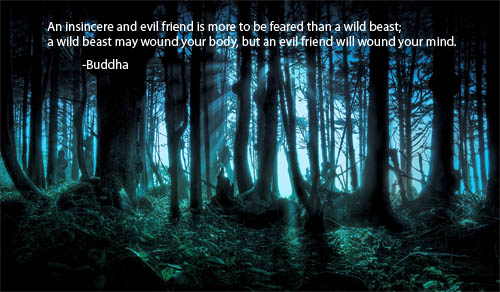 Picture Of A Scary Forest 